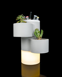Living Stack desk organizer with succulents