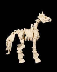 Skeletal horse mount side view