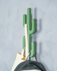 Green cactus wall hanger mounted on a wall