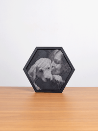 Hexagon halftone frame of a panda
