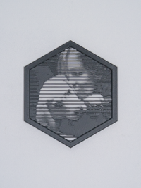 Hexagon halftone frame with a pet portrait